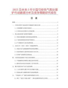 2025及未來5年中國可控?zé)釟夥仗幚頎t市場數(shù)據(jù)分析及競爭策略研究報告