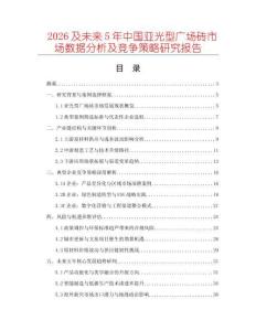 2026及未來5年中國亞光型廣場磚市場數(shù)據(jù)分析及競爭策略研究報告