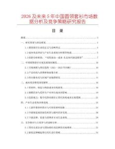 2026及未來5年中國圓領套衫市場數據分析及競爭策略研究報告