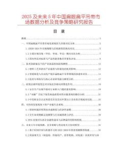 2025及未來5年中國扁眼扁平吊帶市場數(shù)據(jù)分析及競爭策略研究報告