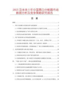 2025及未來5年中國黑白分割器市場數(shù)據(jù)分析及競爭策略研究報告