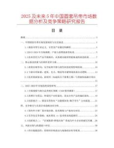 2025及未來5年中國圓套吊帶市場數(shù)據(jù)分析及競爭策略研究報告