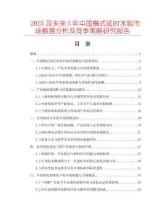 2025及未來5年中國橫式延時水咀市場數據分析及競爭策略研究報告