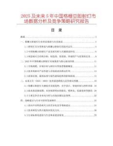 2025及未來5年中國格柵豆膽射燈市場數(shù)據(jù)分析及競爭策略研究報告