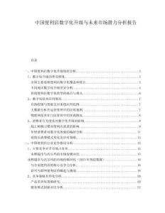 中國便利店數字化升級與未來市場潛力分析報告