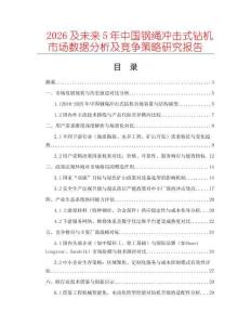 2026及未來(lái)5年中國(guó)鋼繩沖擊式鉆機(jī)市場(chǎng)數(shù)據(jù)分析及競(jìng)爭(zhēng)策略研究報(bào)告
