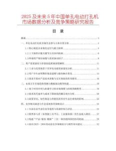 2025及未來5年中國單孔電動打孔機市場數據分析及競爭策略研究報告