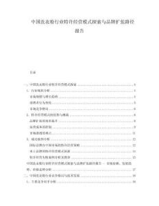 中國(guó)洗衣粉行業(yè)特許經(jīng)營(yíng)模式探索與品牌擴(kuò)張路徑報(bào)告