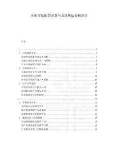 壓縮療法配套設備與系統集成分析報告