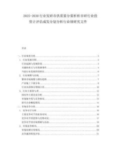 2025-2030行業(yè)發(fā)研市供需要分要析析市研行業(yè)投資計(jì)評(píng)估成發(fā)分劃分析行業(yè)規(guī)研究文件