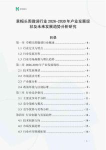草帽頭圍微調行業2026-2030年產業發展現狀及未來發展趨勢分析研究