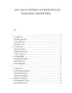2025-2030油氣管道修復行業市場深度考察及定向鉆機技術路線上游設備租賃服務