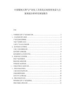 中國煤制天然氣產業化工藝優化后續投資效益與方案規劃分析研究規劃報告