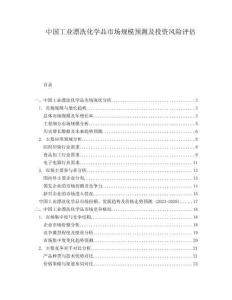 中國工業漂洗化學品市場規模預測及投資風險評估
