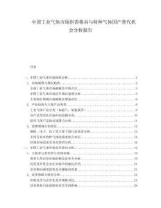 中國工業氣體市場供需格局與特種氣體國產替代機會分析報告