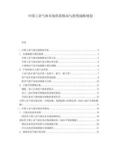 中國工業(yè)氣體市場供需格局與投資戰(zhàn)略規(guī)劃