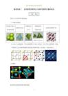 疑難雜癥7 正四面體空隙和正八面體空隙的位置和填充-2026屆高考化學一輪復習（全國通用）