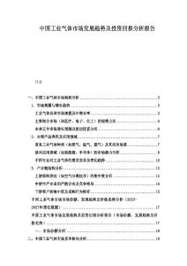 中國工業(yè)氣體市場發(fā)展趨勢及投資回報分析報告