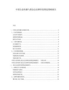 中國公益傳播與基金會品牌價值塑造策略報告