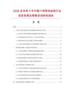 2026及未來5年中國六角型電批咀行業投資前景及策略咨詢研究報告