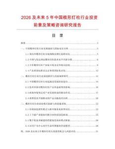 2026及未來5年中國欖形燈柱行業(yè)投資前景及策略咨詢研究報(bào)告