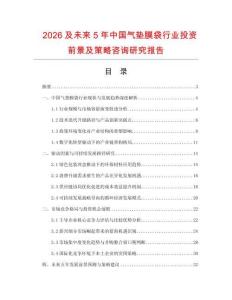 2026及未來5年中國氣墊膜袋行業(yè)投資前景及策略咨詢研究報告