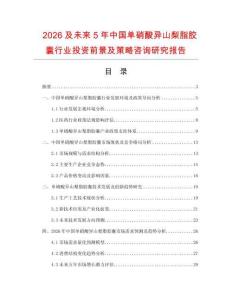 2026及未來5年中國單硝酸異山梨脂膠囊行業(yè)投資前景及策略咨詢研究報告