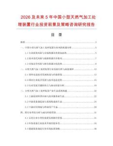 2026及未來5年中國小型天然氣加工處理裝置行業投資前景及策略咨詢研究報告