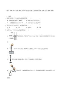 河北省石家莊市行唐縣2024-2025學(xué)年九年級上學(xué)期期末考試物理試卷（含答案）