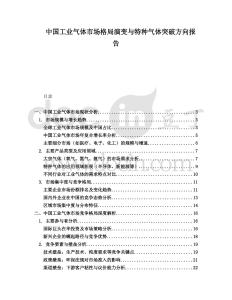 中國工業氣體市場格局演變與特種氣體突破方向報告