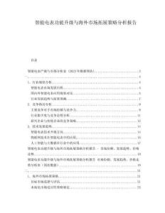 智能電表功能升級(jí)與海外市場(chǎng)拓展策略分析報(bào)告