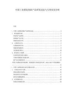 中國(guó)工業(yè)漂洗劑新產(chǎn)品研發(fā)動(dòng)態(tài)與專利布局分析