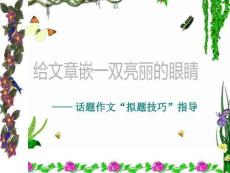 給文章嵌上一雙靚麗的眼睛——作文擬題技巧  中考語文一輪復(fù)習(xí)