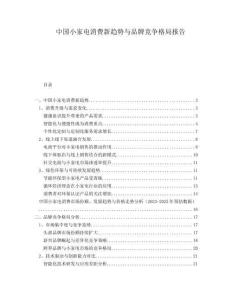 中國小家電消費新趨勢與品牌競爭格局報告