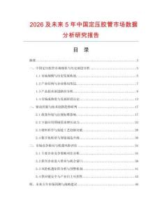 2026及未來(lái)5年中國(guó)定壓膠管市場(chǎng)數(shù)據(jù)分析研究報(bào)告