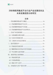 浮標(biāo)物聯(lián)網(wǎng)集成平臺(tái)行業(yè)產(chǎn)業(yè)發(fā)展現(xiàn)狀及未來發(fā)展趨勢(shì)分析研究