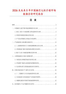 2026及未來5年中國插芯大把手鎖市場數據分析研究報告