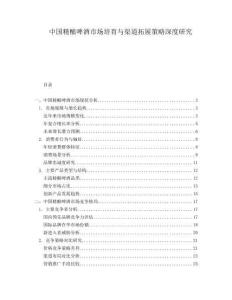 中國精釀啤酒市場培育與渠道拓展策略深度研究