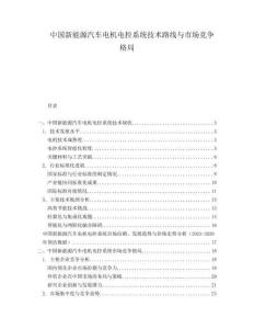 中國新能源汽車電機(jī)電控系統(tǒng)技術(shù)路線與市場競爭格局