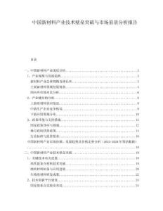 中國新材料產(chǎn)業(yè)技術(shù)壁壘突破與市場前景分析報告