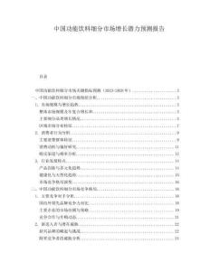 中國功能飲料細分市場增長潛力預測報告