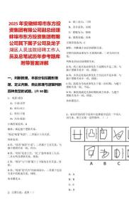 2025年安徽蚌埠市東方投資集團有限公司副總經理蚌埠市東方投資集團有限公司其下屬子公司及龍子湖區人民法院招聘工作人員及總筆試歷年參考題庫附帶答案詳解