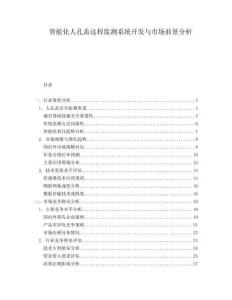 智能化人孔蓋遠(yuǎn)程監(jiān)測系統(tǒng)開發(fā)與市場前景分析