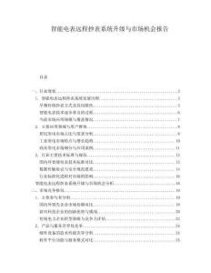 智能電表遠程抄表系統升級與市場機會報告