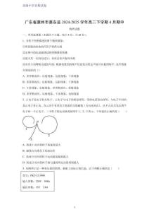 廣東省惠州市惠東縣2024-2025學(xué)年高二下學(xué)期4月期中物理試題