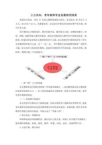 三力共向： 青年教師專業(yè)發(fā)展路徑探索