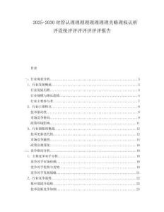 2025-2030對管認理理理理理理理理關(guān)略理權(quán)認析評設(shè)統(tǒng)評評評評評評評報告