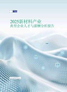 2025新材料產(chǎn)業(yè)典型企業(yè)人才與薪酬趨勢分析報告