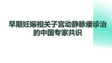 早期妊娠相關子宮動靜脈瘺診治的中國專家共識(1)