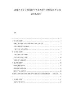 齋藤久美子研究及哲學(xué)傳承教育產(chǎn)業(yè)化發(fā)展評估規(guī)劃分析報告